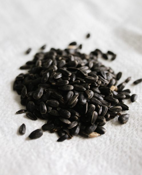 Black Oil Sunflower Seeds
